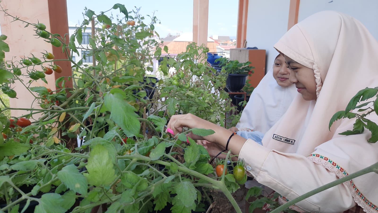 Organic Farming Program